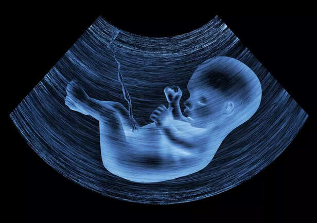 baby in womb