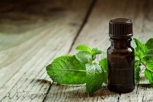 Essential oil of peppermint in a small brown bottle