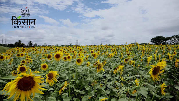 363449-drone-agriculture-farming-chamarajnagar-karnataka-agriculture-technology-startups-5