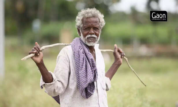 363437-teachers-diary-7