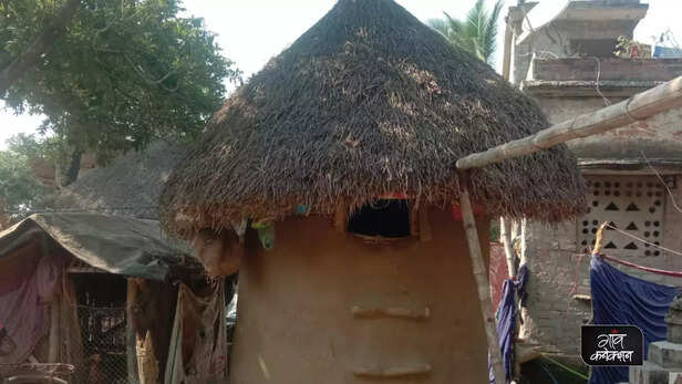 362617-png202212131108070000