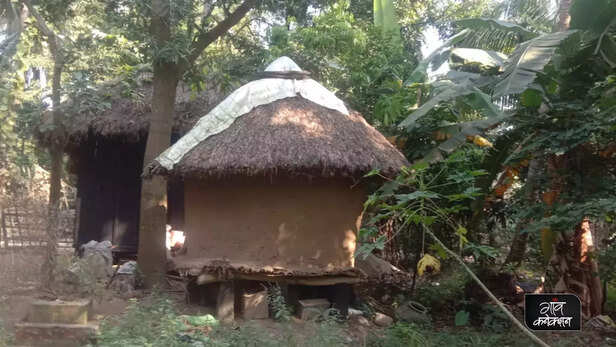 362618-png202212131107370000