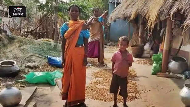 359085-tribal-community-odisha-mahua-flower-economy-msp-livelihood-3