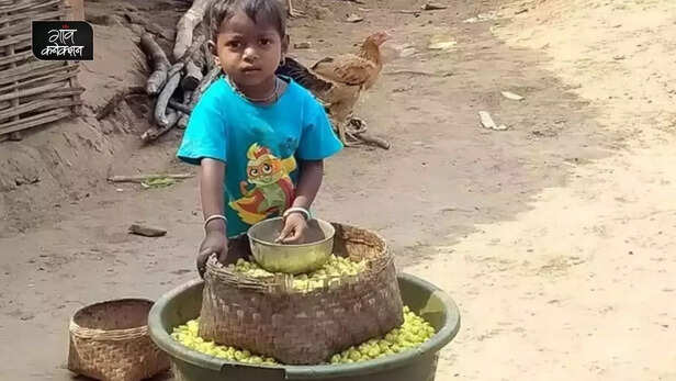 359087-tribal-community-odisha-mahua-flower-economy-msp-livelihood-1