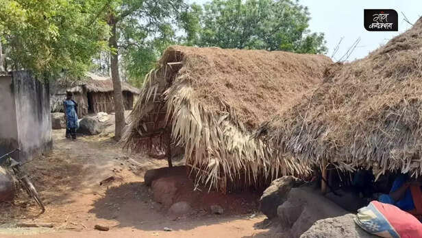 359173-mundapeta-kela-odisha-broom-tribal-community-tamasha-nayagarh-2