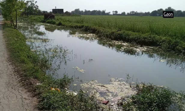 363947-untitled-design-2023-03-07t141253038