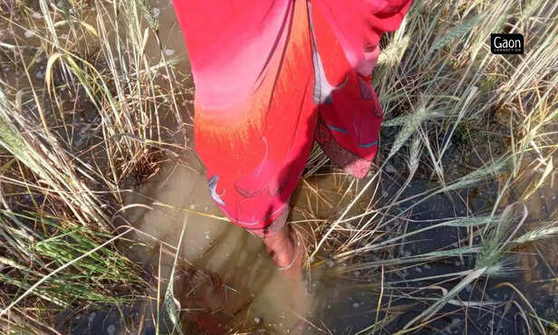 363948-untitled-design-2023-03-07t141357136