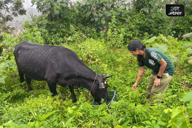 wayanad landslide humane international society india help animal welfare (3)