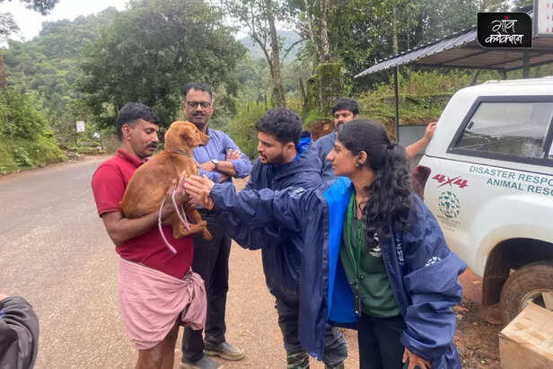 wayanad landslide humane international society india help animal welfare (2)