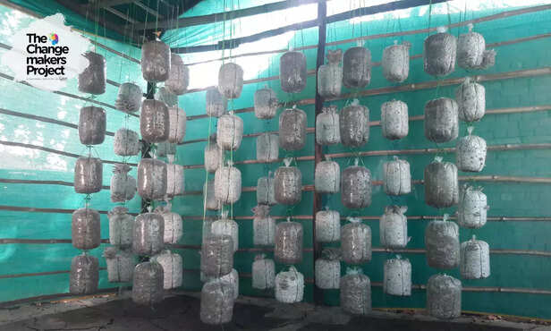 369798-panna-mining-tribal-women-empowerment-mushroom-cultivation-livelihood-3