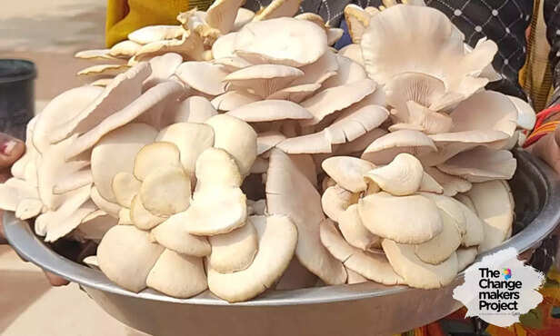 369799-panna-mining-tribal-women-empowerment-mushroom-cultivation-livelihood-4